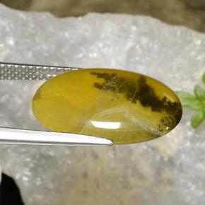 6.54캐럿 천연 노란색 수상돌기 모스 오팔, 타원형 컷, 투명한