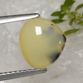 1.59캐럿 천연 옐로우 덴드라이트 모스 오팔, 배 모양, 9×8.3 mm, 투명한
