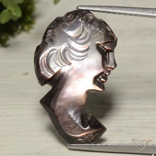 4.89ct 자연스러운 히코리 브라운 진주조개, 팬시한, 불투명체