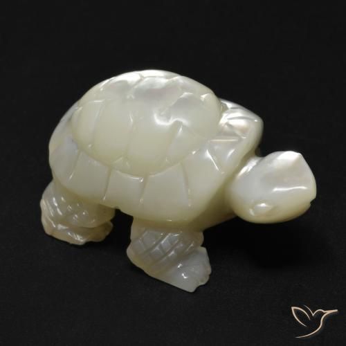 23.99ct 자연스러운 펄 화이트 진주조개, 팬시한, 불투명체