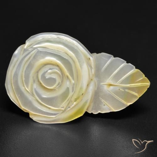 16.60ct 자연스러운 연노랑 진주조개, 플라워 컷, 불투명체