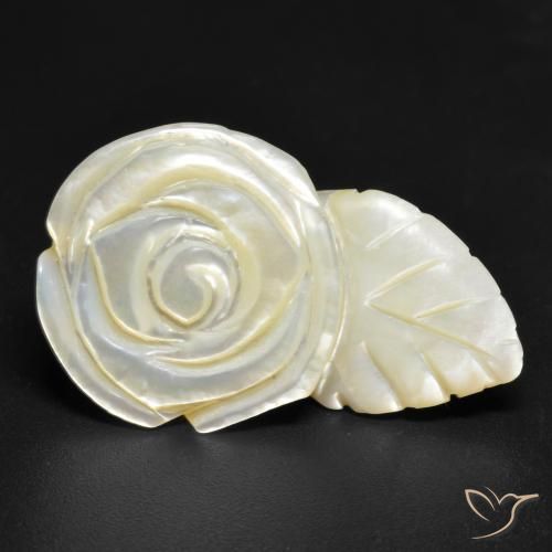 19.38ct 자연스러운 펄 화이트 진주조개, 플라워 컷, 불투명체