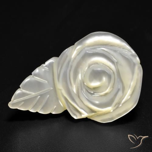 15.19ct 자연스러운 펄 화이트 진주조개, 플라워 컷, 불투명체
