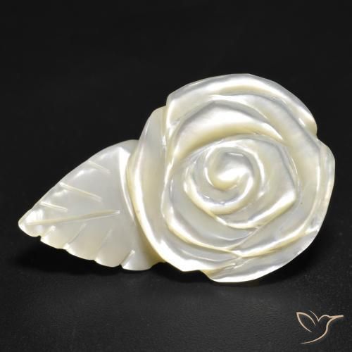 12.59ct 자연스러운 펄 화이트 진주조개, 플라워 컷, 불투명체