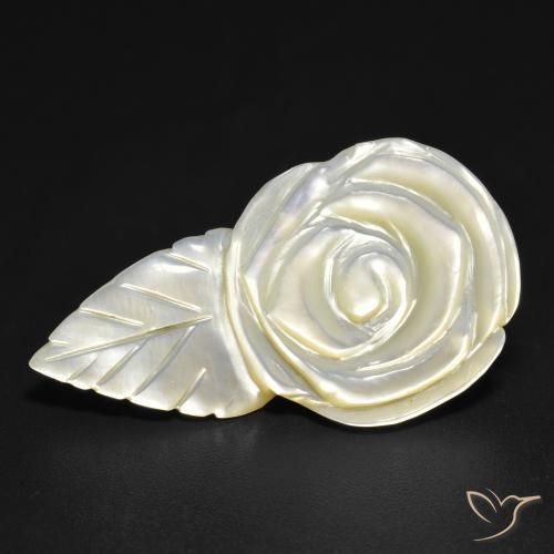14.35ct 자연스러운 펄 화이트 진주조개, 플라워 컷, 불투명체