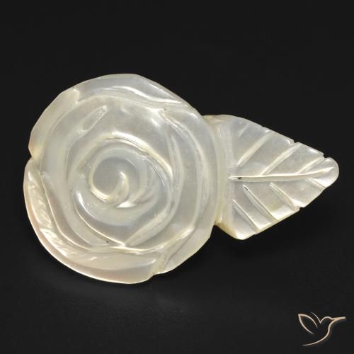 11.49ct 자연스러운 펄 화이트 진주조개, 플라워 컷, 불투명체