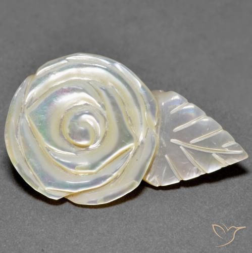 18.79ct 자연스러운 펄 화이트 진주조개, 플라워 컷, 불투명체