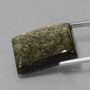 13.86캐럿 천연 골드 광택 흑요석, 바게트, 불투명체