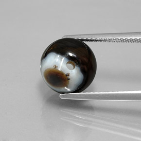 6.99캐럿 천연 검정색 오닉스, 구형 / 볼, 불투명체