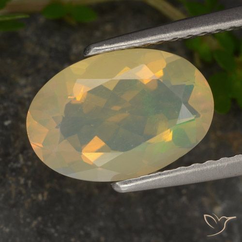 1.46ct 자연스러운 다색 오팔, 타원형, 투명한