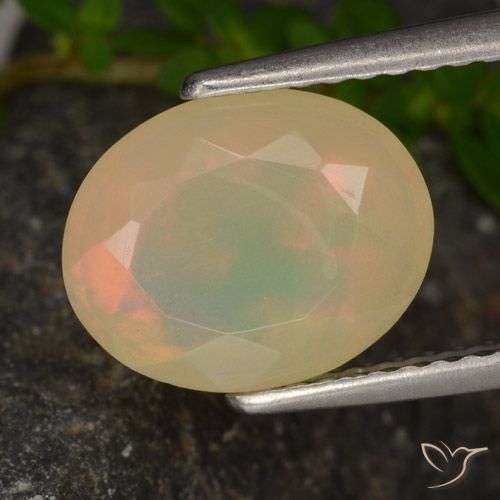 1.54ct 자연스러운 다색 오팔, 타원형, 투명한