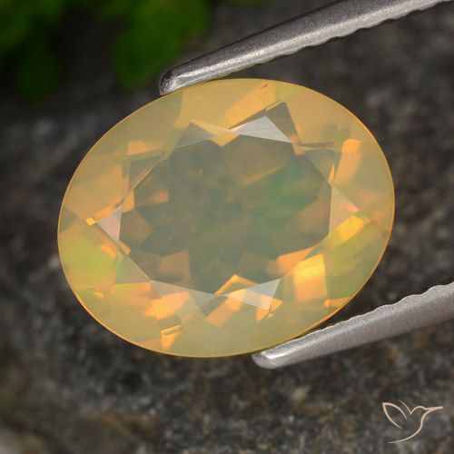 1.54ct 자연스러운 다색 오팔, 타원형, 투명한