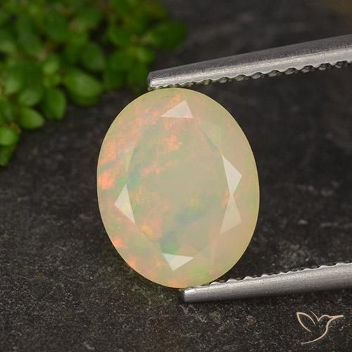1.58ct 자연스러운 다색 오팔, 타원형, 투명한