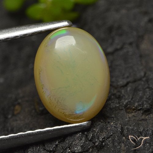 1.16ct 자연스러운 다색 오팔, 타원형, 투명한
