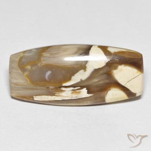 31.21ct 자연스러운 다색 땅콩나무, 방석, 불투명체