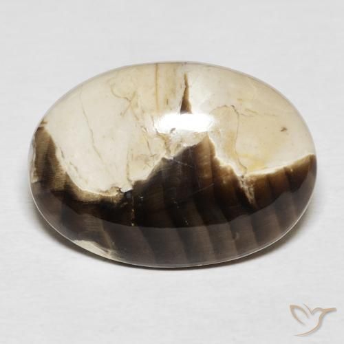 15.62ct 자연스러운 다색 땅콩나무, 타원형, 불투명체