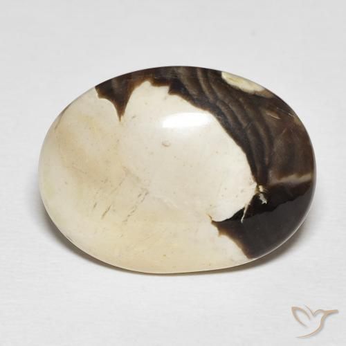 19.54ct 자연스러운 다색 땅콩나무, 타원형, 불투명체