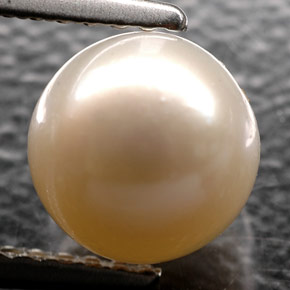 2.52캐럿 천연 크림 진주, 구형 / 볼, 7.12 mm, 불투명체