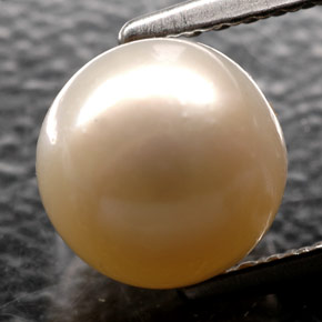 2.52캐럿 천연 크림 진주, 구형 / 볼, 7.12 mm, 불투명체