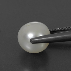 3.50캐럿 천연 크림 진주, 구형 / 볼, 8.08 mm, 불투명체