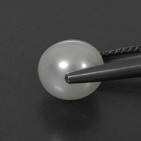 3.55캐럿 천연 크림 진주, 구형 / 볼, 8.18 mm, 불투명체