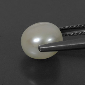 3.90캐럿 천연 크림 진주, 구형 / 볼, 8.53 mm, 불투명체