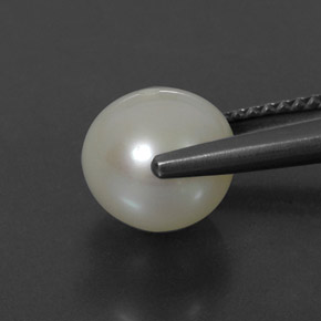 3.75캐럿 천연 크림 진주, 구형 / 볼, 8.29 mm, 불투명체