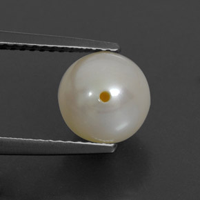 3.82캐럿 천연 크림 진주, 구 / 공, 불투명체