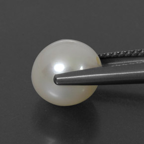3.82캐럿 천연 크림 진주, 구 / 공, 불투명체