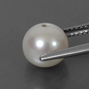 3.81캐럿 천연 크림 진주, 구형 / 볼, 8.28 mm, 불투명체