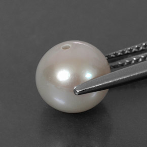 3.60캐럿 천연 크림 진주, 구형 / 볼, 8.16 mm, 불투명체