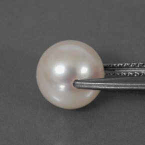 3.98캐럿 천연 실버 화이트 진주, 구형 / 볼, 8.42 mm, 불투명체