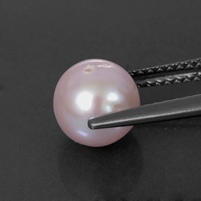 2.91캐럿 천연 실버 핑크 진주, 구형 / 볼, 7.46 mm, 불투명체