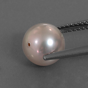 3.37캐럿 천연 실버 핑크 진주, 구형 / 볼, 7.90 mm, 불투명체