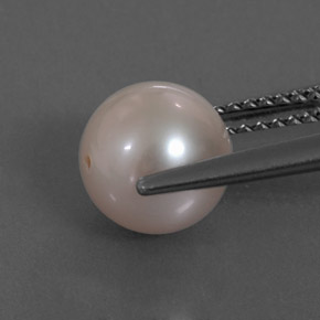 3.30캐럿 천연 크림 핑크 진주, 구형 / 볼, 7.80 mm, 불투명체