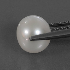 4.24캐럿 천연 실버 화이트 진주, 구형 / 볼, 8.50 mm, 불투명체