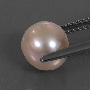 3.36캐럿 천연 크림 핑크 진주, 구형 / 볼, 7.70 mm, 불투명체