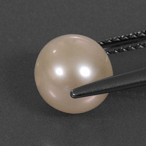 3.34캐럿 천연 크림 핑크 진주, 구형 / 볼, 7.79 mm, 불투명체