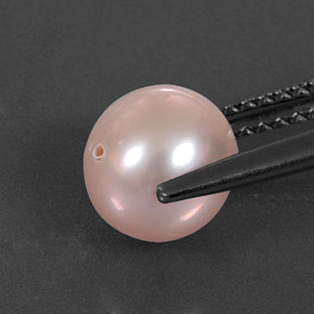 2.69캐럿 천연 크림 핑크 진주, 구형 / 볼, 7.24 mm, 불투명체