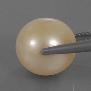 14.95캐럿 천연 골든 진주, 구형 / 볼, 12.66 mm, 불투명체