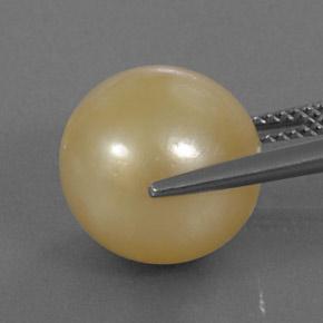 13.25캐럿 천연 골든 진주, 구 / 공, 불투명체