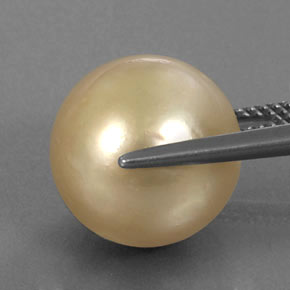 14.91캐럿 천연 골든 진주, 구형 / 볼, 12.81 mm, 불투명체