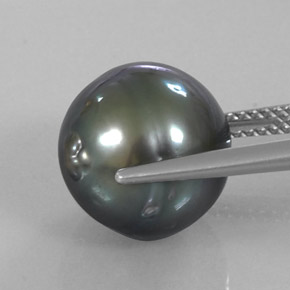 11.70캐럿 천연 다크 실버 진주, 멋진 모양, 불투명체