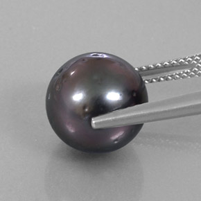 9.20캐럿 천연 어두운 회색 진주, 구형 / 볼, 10.88 mm, 불투명체