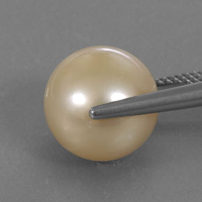 13.84캐럿 천연 골든 진주, 구형 / 볼, 12.46 mm, 불투명체