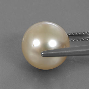 11.57캐럿 천연 라이트 골든 진주, 구 / 공, 불투명체