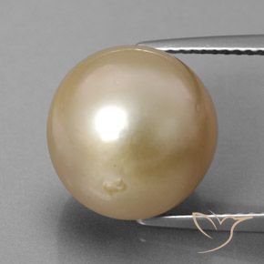 13.01캐럿 천연 골든 진주, 구 / 공, 불투명체