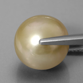 11.75캐럿 천연 골든 진주, 구형 / 볼, 11.94 mm, 불투명체