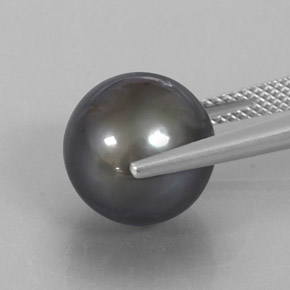 12.75캐럿 천연 실버 진주, 구형 / 볼, 12.10 mm, 불투명체