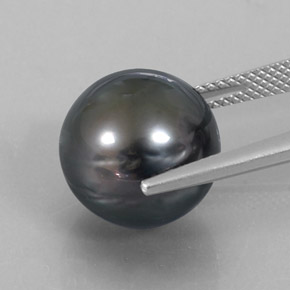 14.52캐럿 천연 다크 실버 진주, 구 / 공, 불투명체